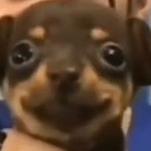 Meet your Posher, Deon